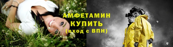 Альфа ПВП Гусь-Хрустальный