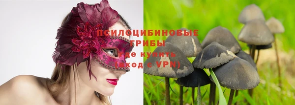 МДМА Гусев