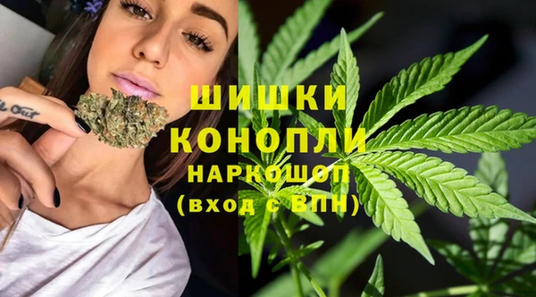 Альфа ПВП Гусь-Хрустальный
