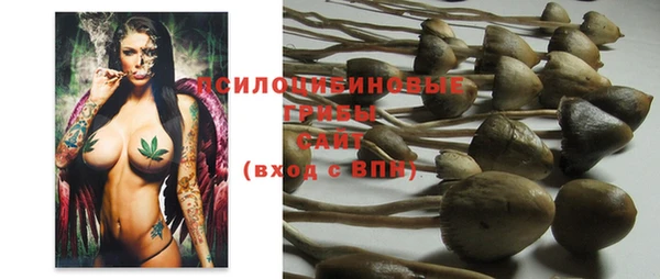 МДМА Гусев