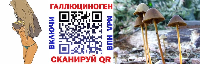 Купить закладки  Кинель  Галлюциногенные грибы ЛСД 